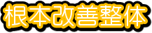 根本改善整体